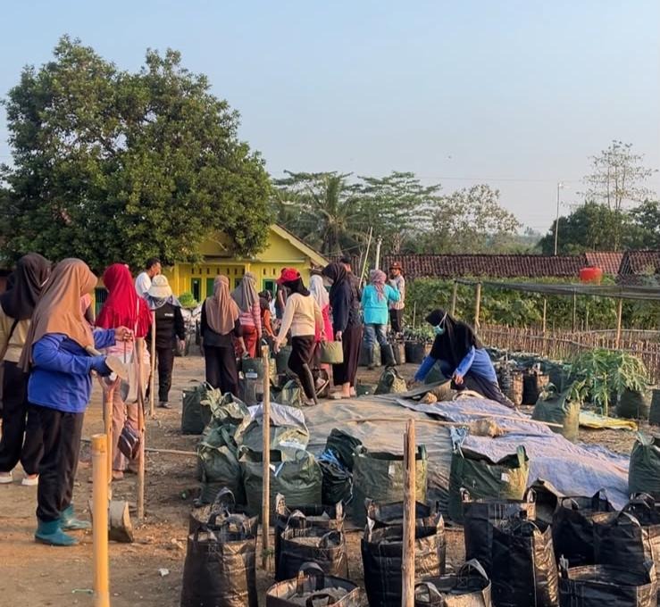 Dari Sawah hingga Ketahanan Pangan, Perempuan Desa Merden Tampil di Garda Terdepan Pertanian Banjarnegara